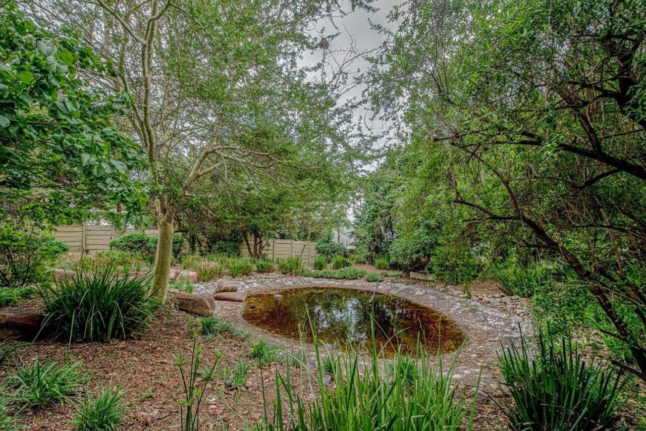 Wild Olive Executive Suite Johannesburg Ngoại thất bức ảnh