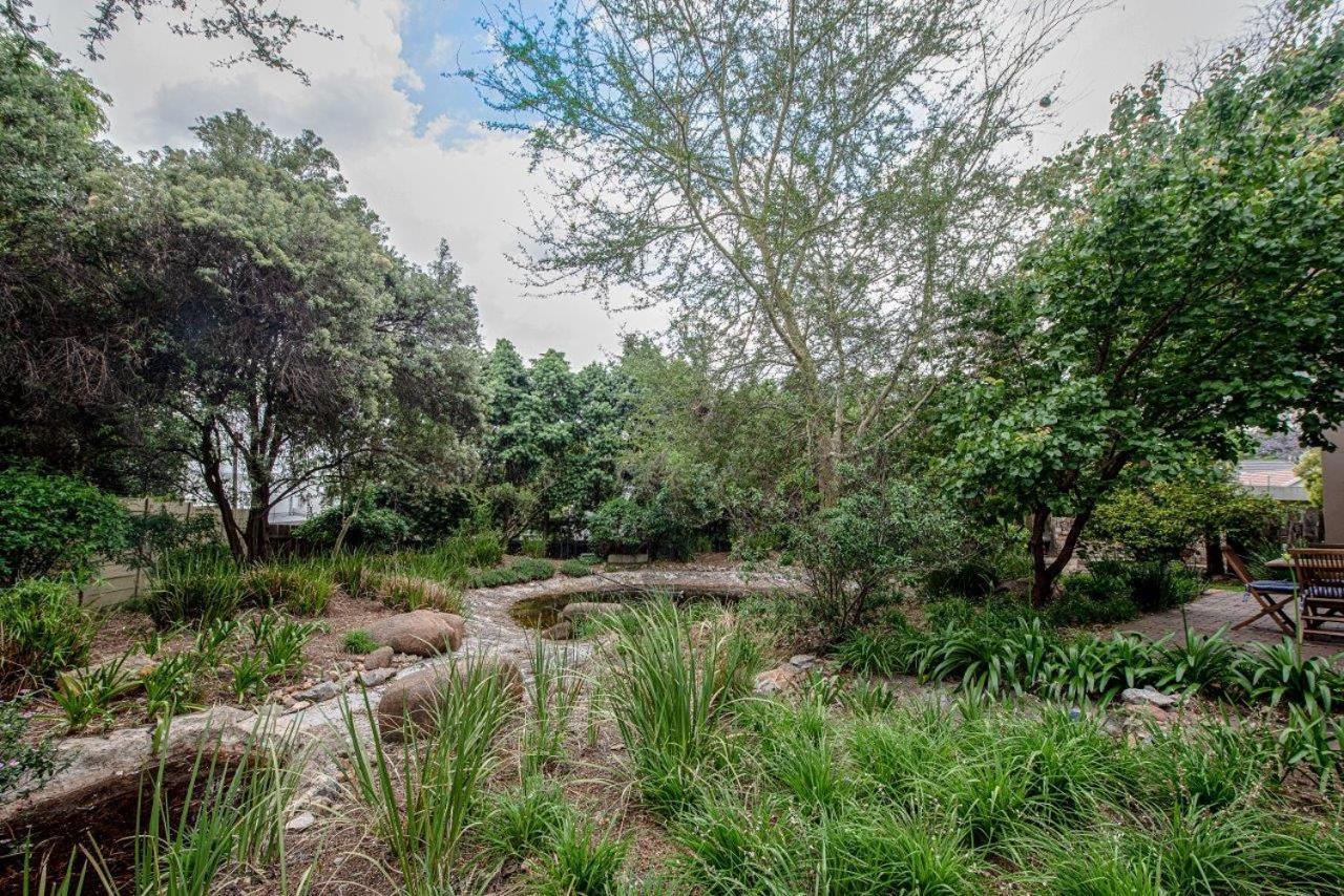 Wild Olive Executive Suite Johannesburg Ngoại thất bức ảnh