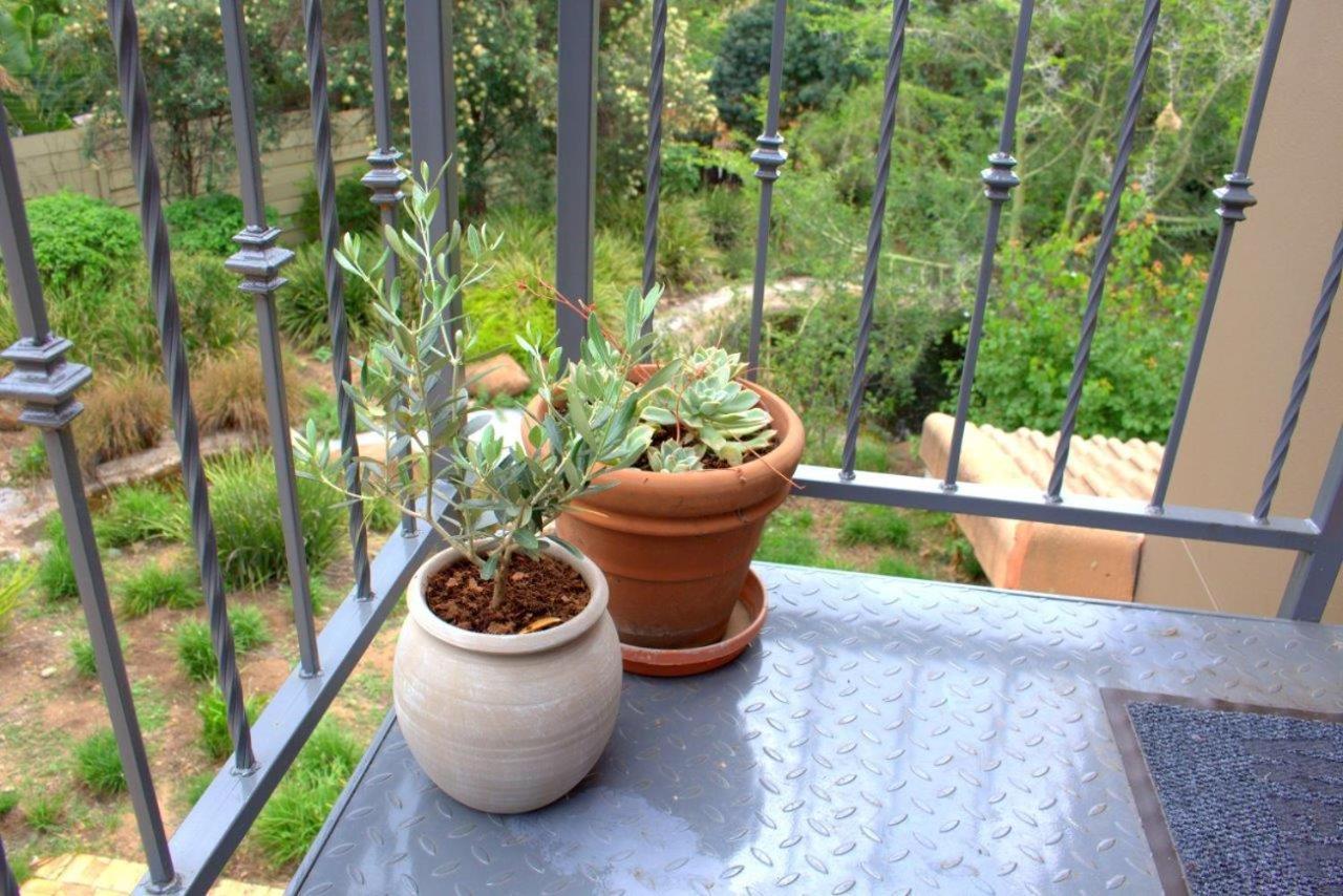 Wild Olive Executive Suite Johannesburg Ngoại thất bức ảnh