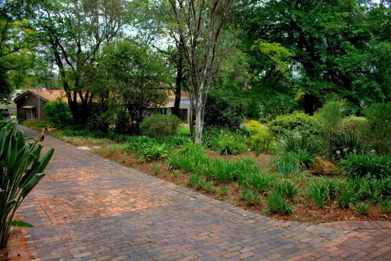 Wild Olive Executive Suite Johannesburg Ngoại thất bức ảnh
