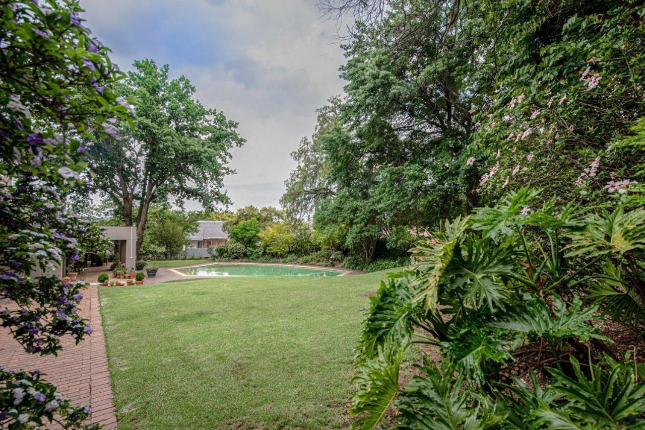 Wild Olive Executive Suite Johannesburg Ngoại thất bức ảnh