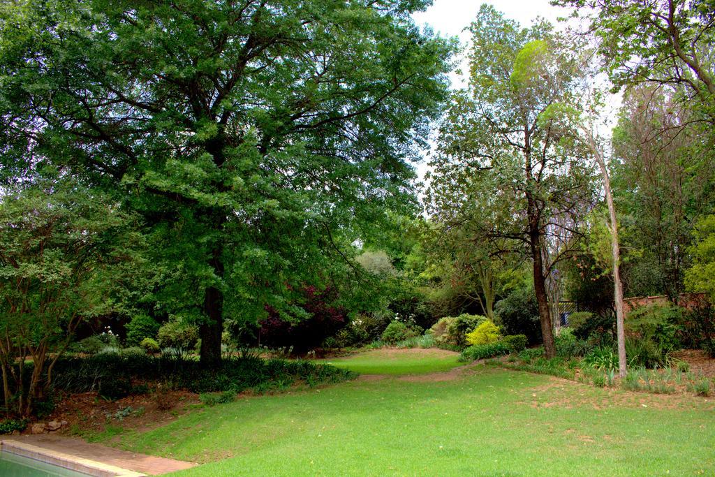 Wild Olive Executive Suite Johannesburg Ngoại thất bức ảnh