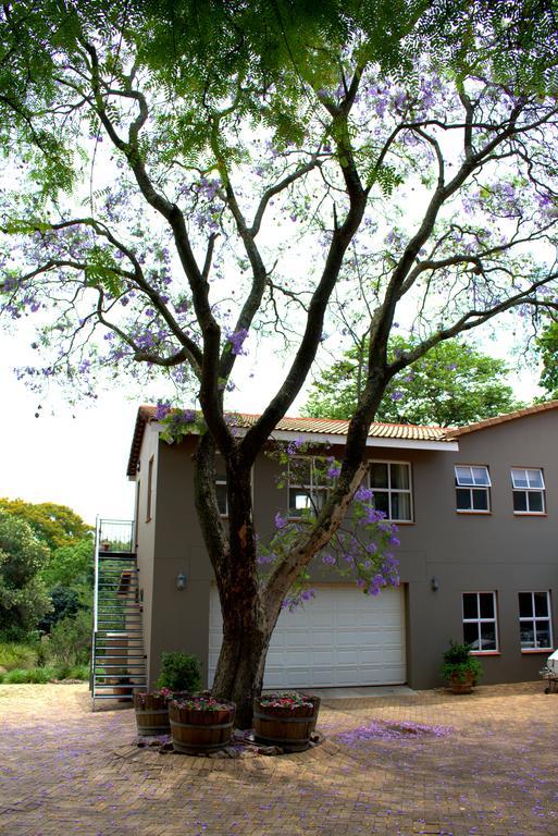 Wild Olive Executive Suite Johannesburg Ngoại thất bức ảnh